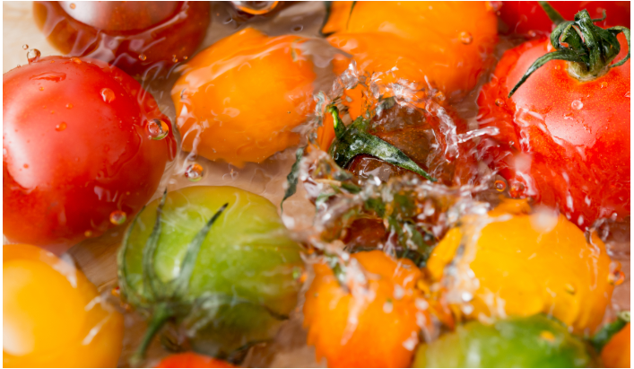 ウォータスタンドのマリーの冷水で冷やしているミニトマト